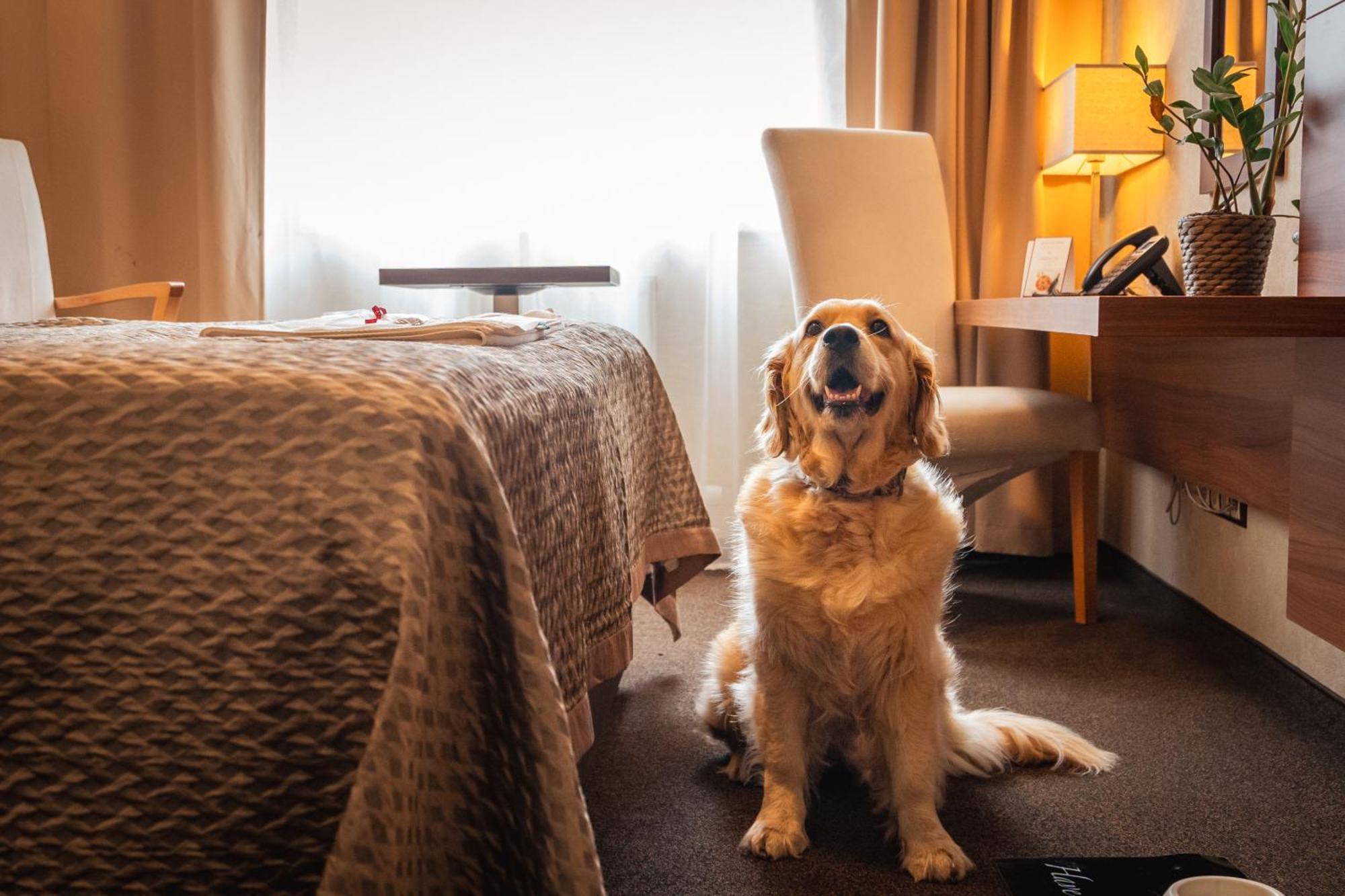 Premium Business Hotel Bratislava Buitenkant foto