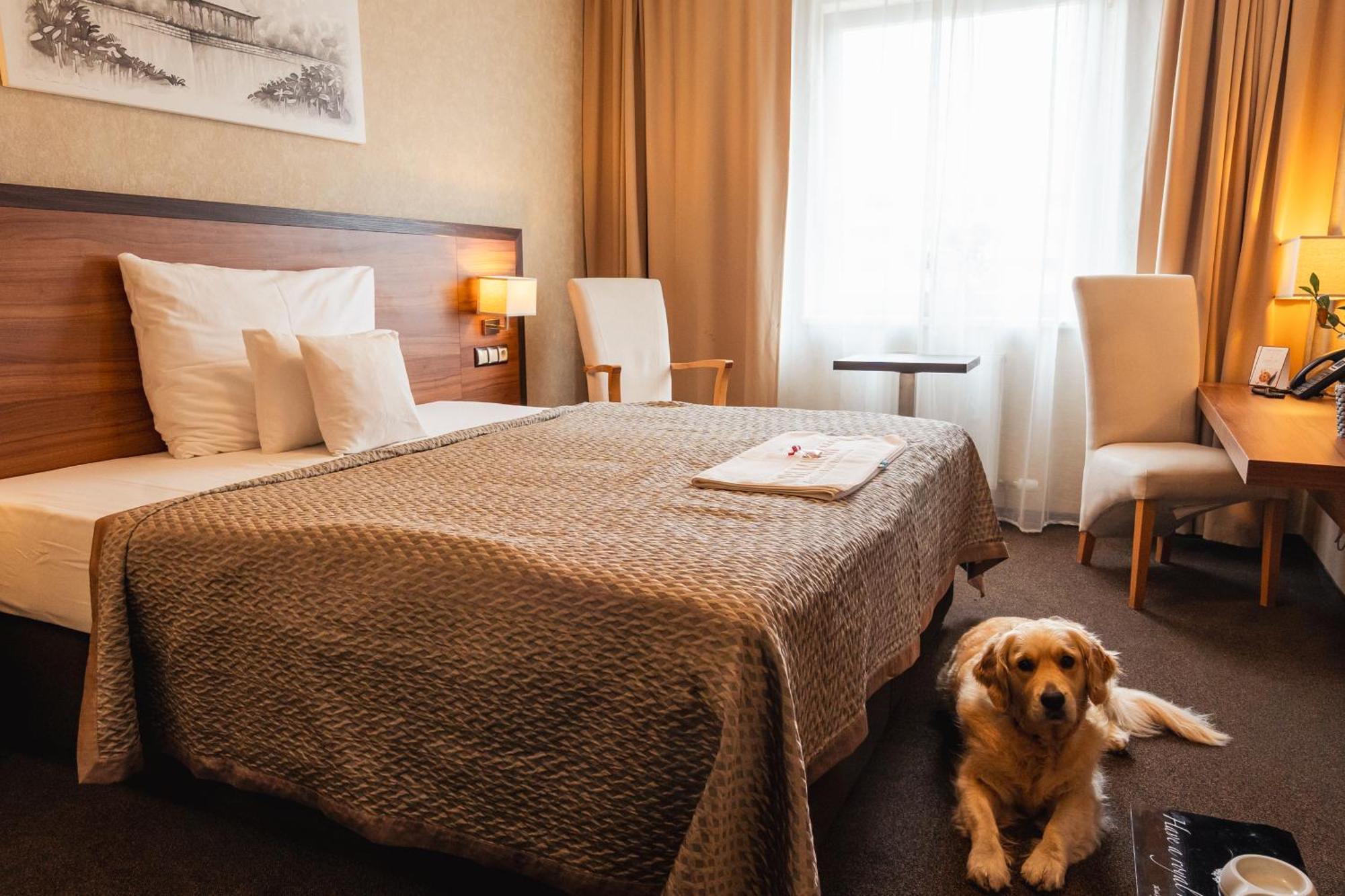 Premium Business Hotel Bratislava Buitenkant foto