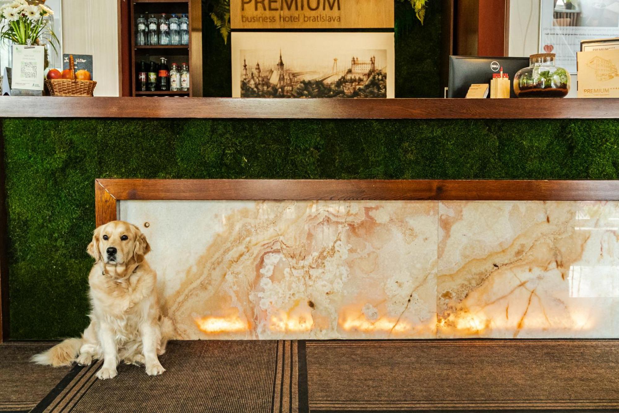 Premium Business Hotel Bratislava Buitenkant foto
